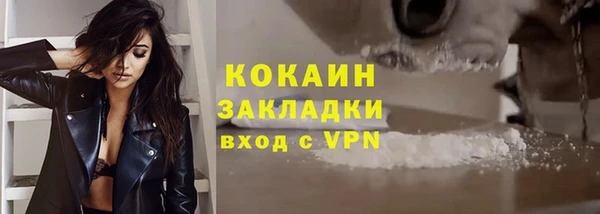 спайс Богданович